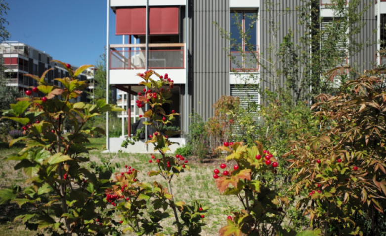 79. Heimatbuch Dübendorf